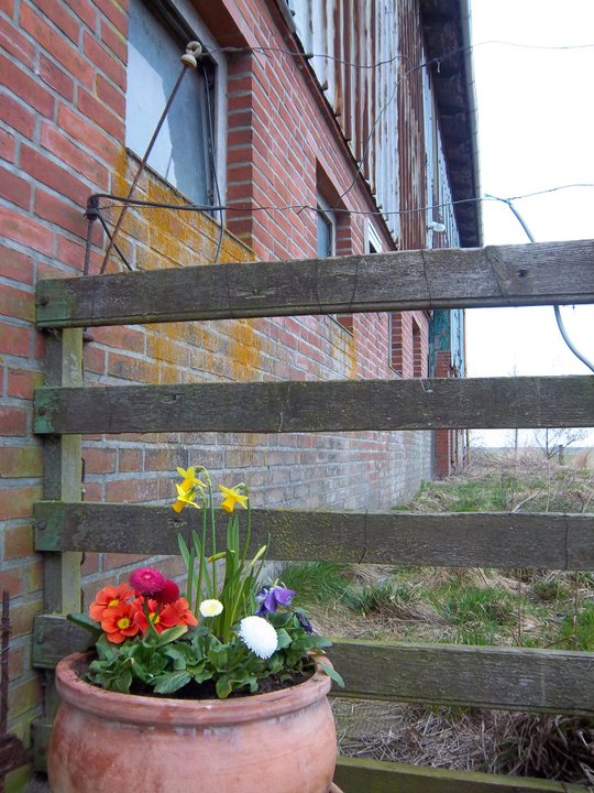 199887_839150867963_3547324_n