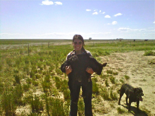 At the ranch in Colorado