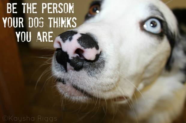 BeWhoYourDogThinksHank