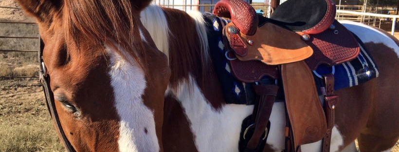 SedonaPaintHorseSaddle