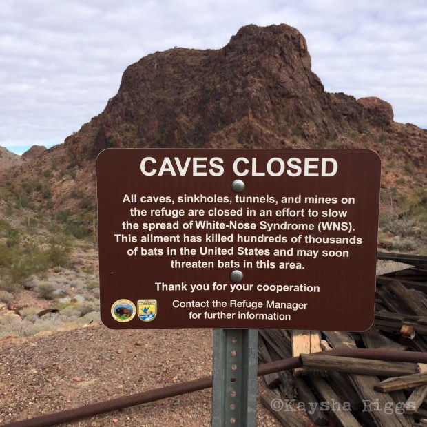 KayshaCavesClosedKofa