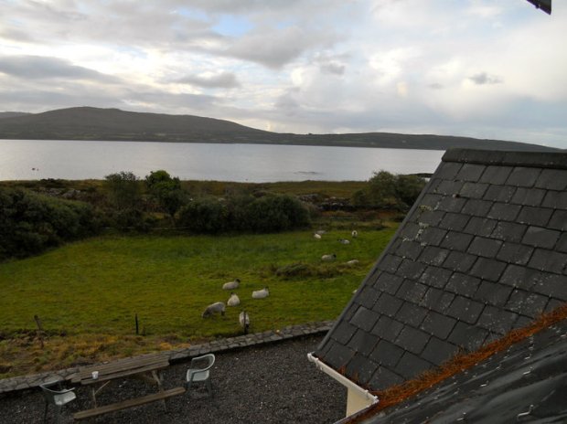 47559_764968929163_2221869_n