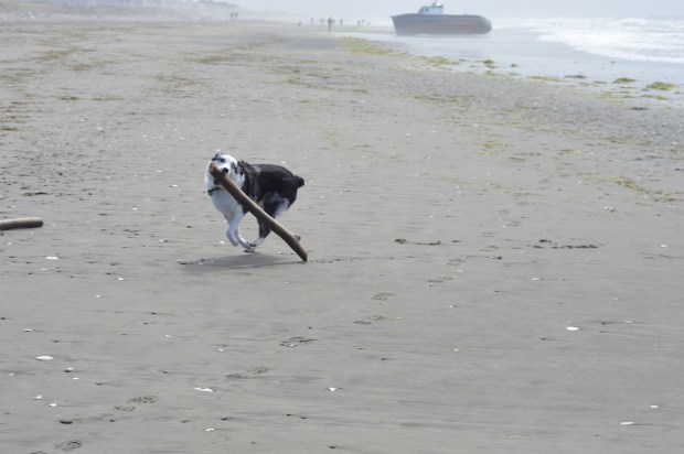 WestportHankStickBoat1