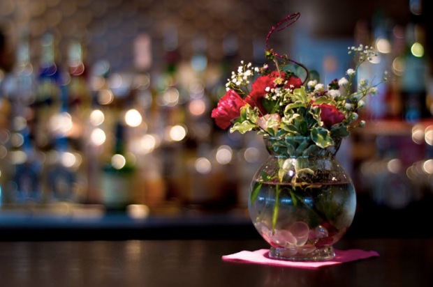 Screen Shot 2017-07-08 at 8.25.40 AM