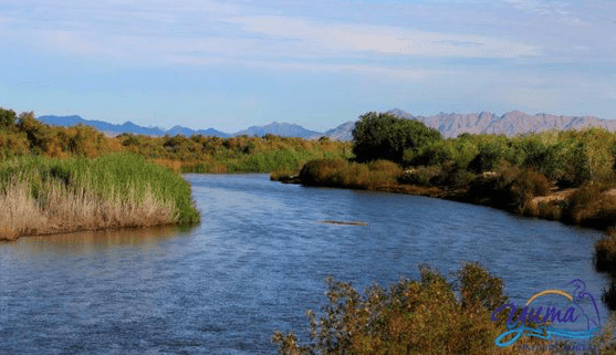 Screen Shot 2017-07-08 at 8.33.02 AM