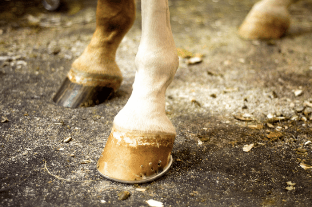 Screen Shot 2017-07-08 at 8.39.30 AM