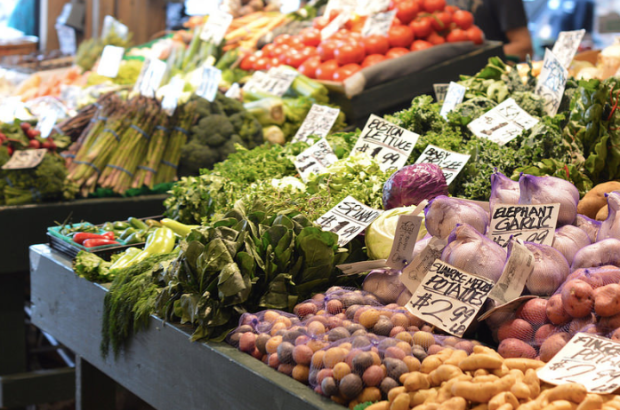 Screen Shot 2017-07-08 at 8.47.48 AM