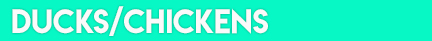 DucksandChickensLabel