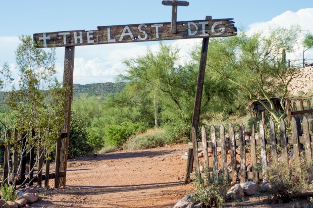 TheLastDigGoldfield