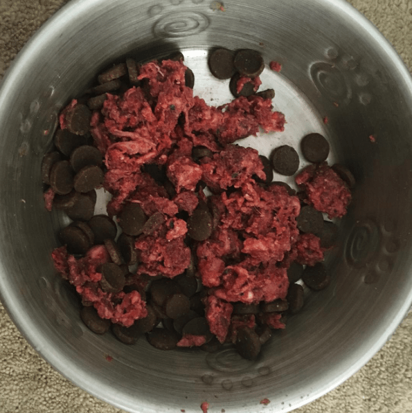 The truth about your dog food , high quality kibble and a raw food diet | Serindipitie.com |@Hankahoula