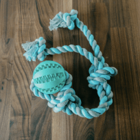 Screen Shot 2017-12-05 at 7.15.18 PM