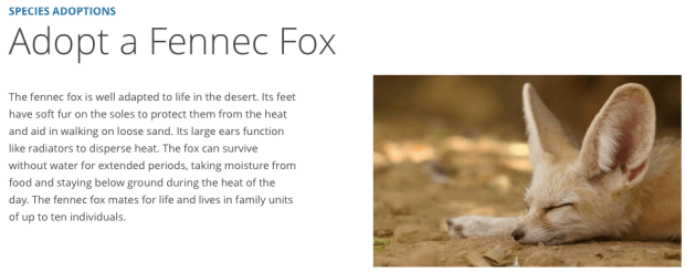 Screen Shot 2017-12-08 at 9.40.21 AM