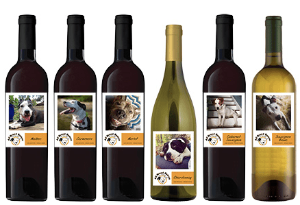 Screen Shot 2017-12-08 at 9.45.06 AM