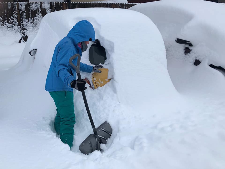 FLGSnowStormBuriedMini